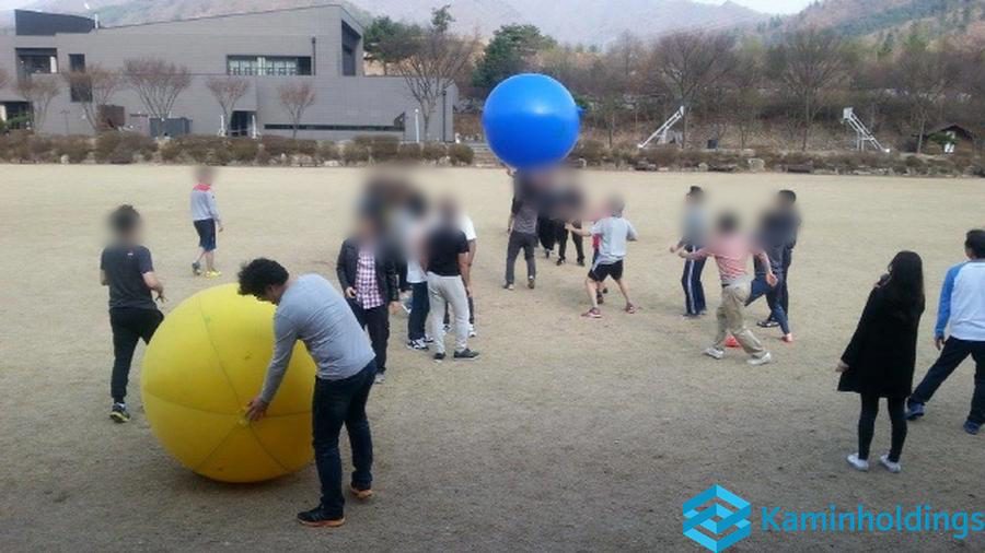 온라인 글로벌 행사 중견기업 해외사업팀 카민홀딩스 실제 업무 사진